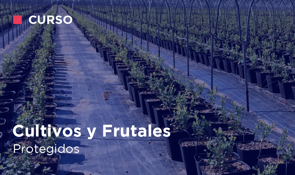 CULTIVOS Y FRUTALES PROTEGIDOS