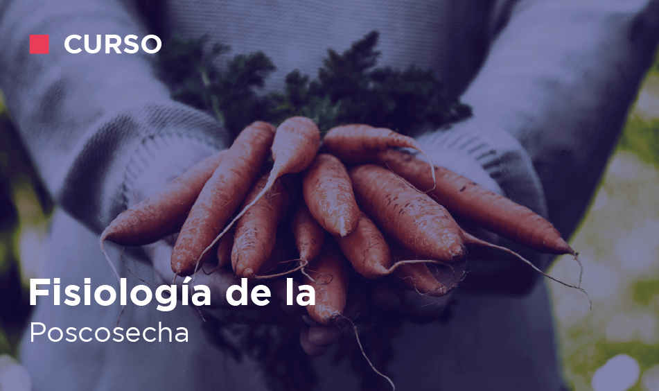 FISIOLOGIA DE POSCOSECHA