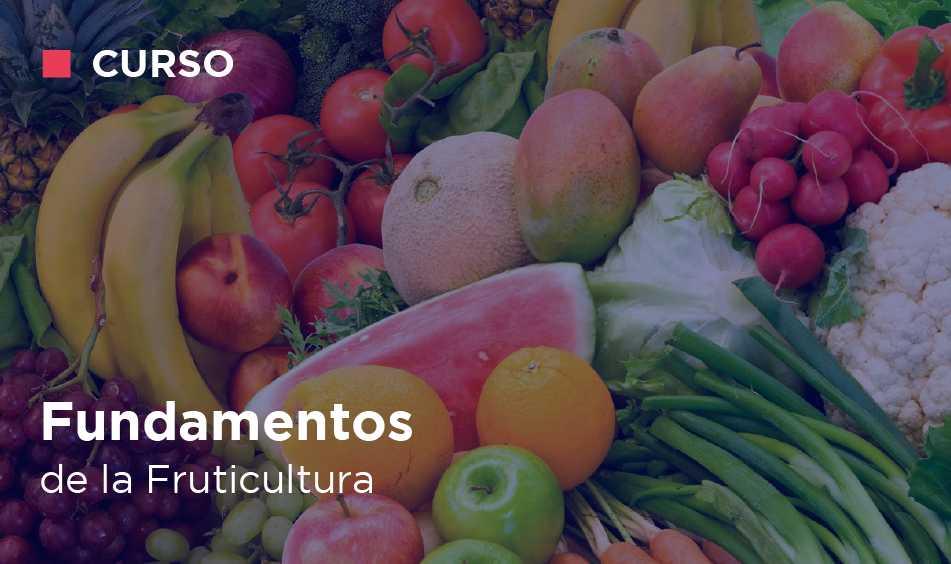 FUNDAMENTOS DE LA FRUTICULTURA