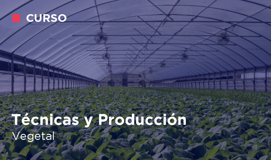 TECNICAS Y PRODUCCION VEGETAL