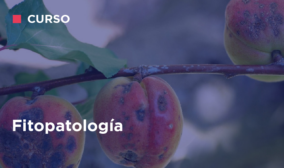 FITOPATOLOGIA