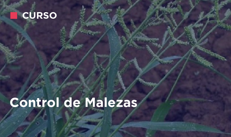 CONTROL DE MALEZAS