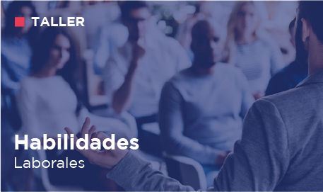 TALLER DE HABILIDADES LABORALES (optativo)