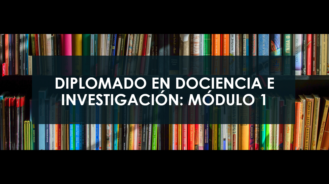 BASES DE LA DOCENCIA UNIVERSITARIA EN EL SIGLO XXI E SECCION 1 2024-2