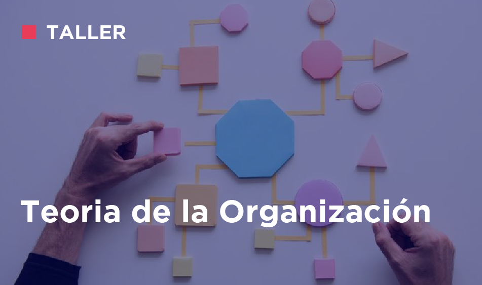 TEORIA DE LA ORGANIZACION