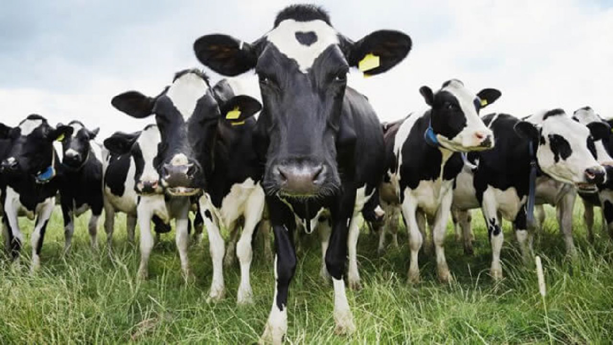 FISIOLOGIA Y PRODUCCION ANIMAL