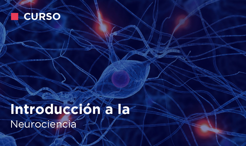 INTRODUCCION A LA NEUROCIENCIA