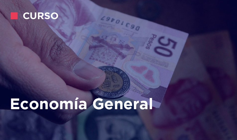 ECONOMIA GENERAL
