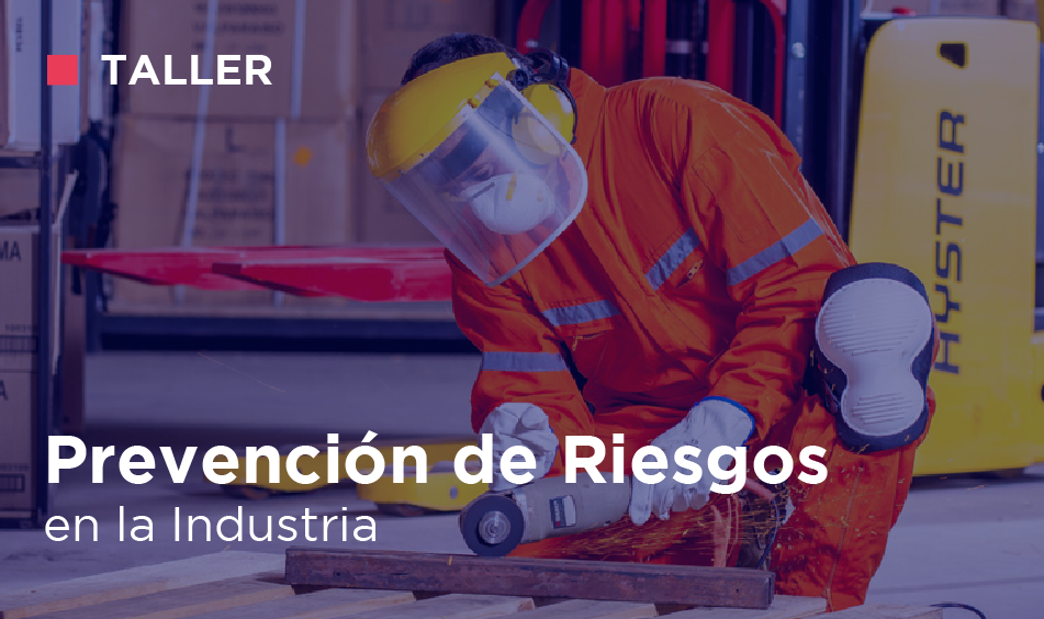 PREVENCION DE RIESGOS EN LA INDUSTRIA