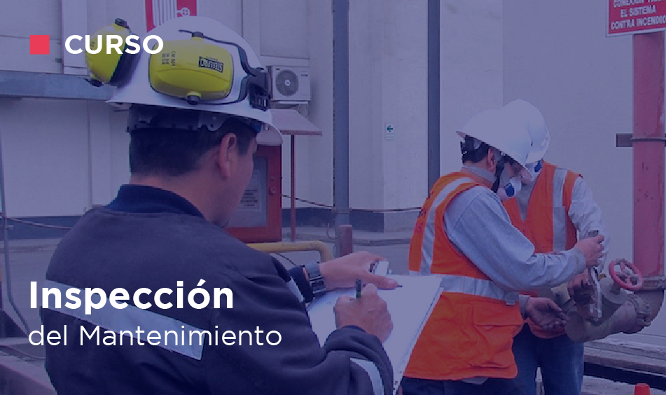 INSPECCION DEL MANTENIMIENTO